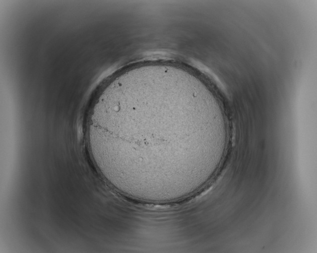 X0000115131261200911241438