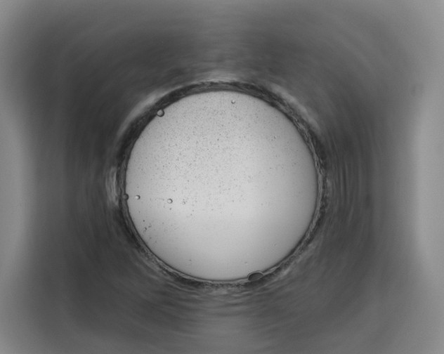 X0000115131262200911241438