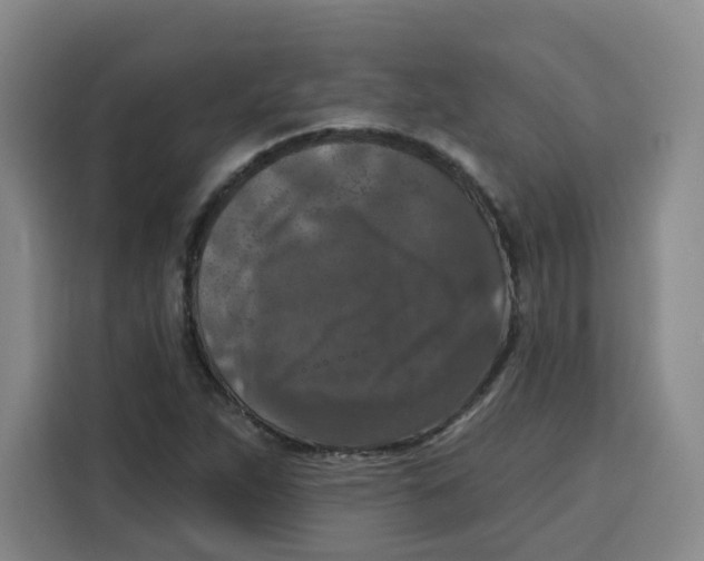 X0000115131263200911241438