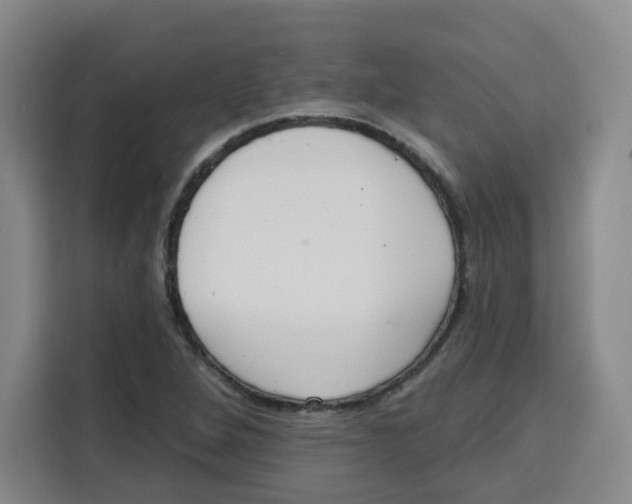 X0000115131264200911241438