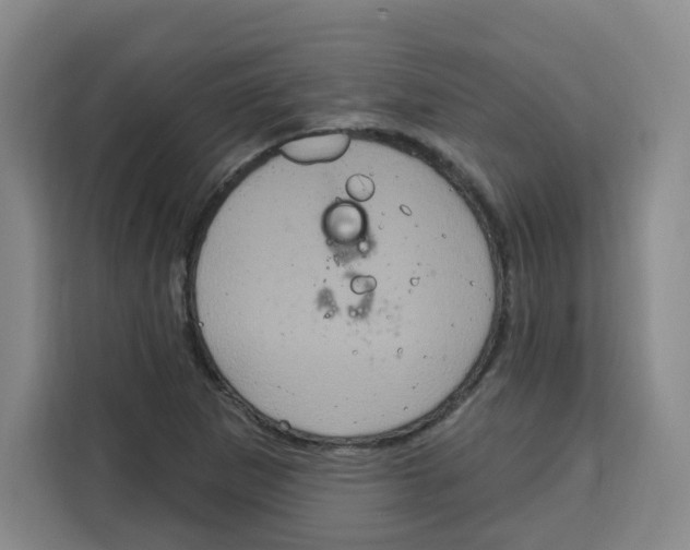 X0000115131265200911241438