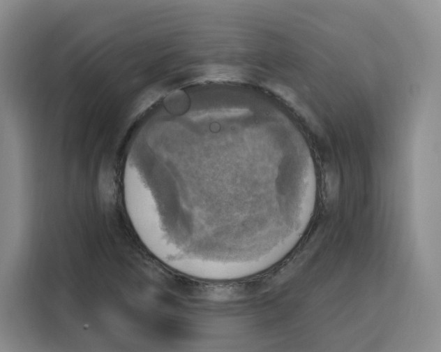 X0000115131266200911241438