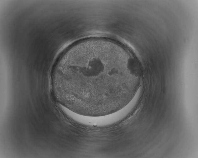 X0000115131267200911241438