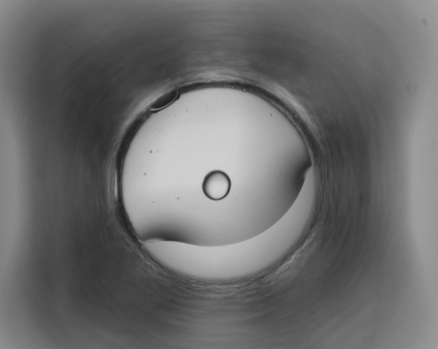 X0000115131269200911241438