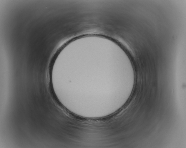 X0000115131270200911241438