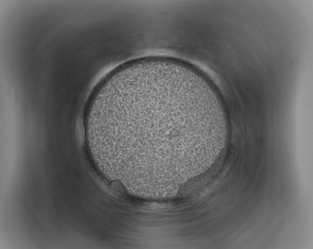 X0000115131271200911241438