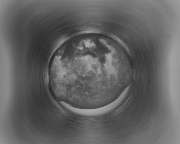 X0000115131274200911241438