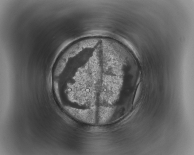 X0000115131275200911241438