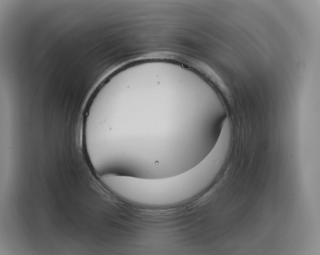X0000115131276200911241438
