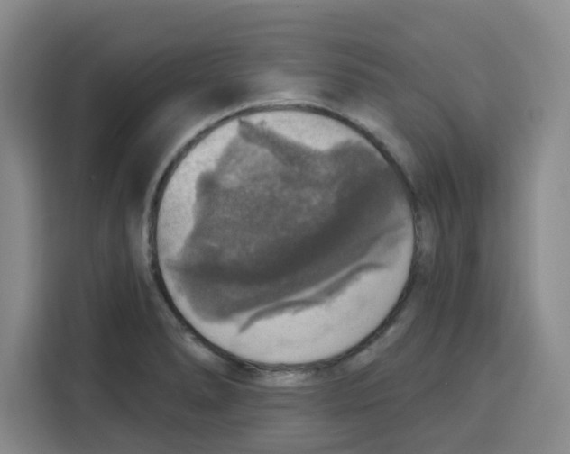 X0000115131278200911241438