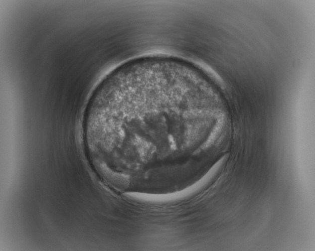 X0000115131279200911241438