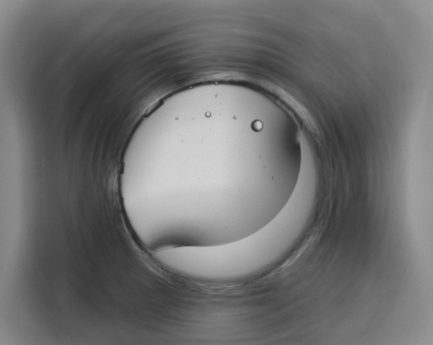 X0000115131281200911241438