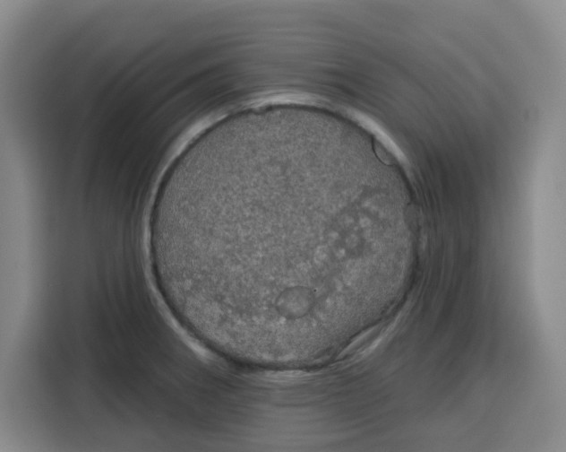 X0000115131282200911241438