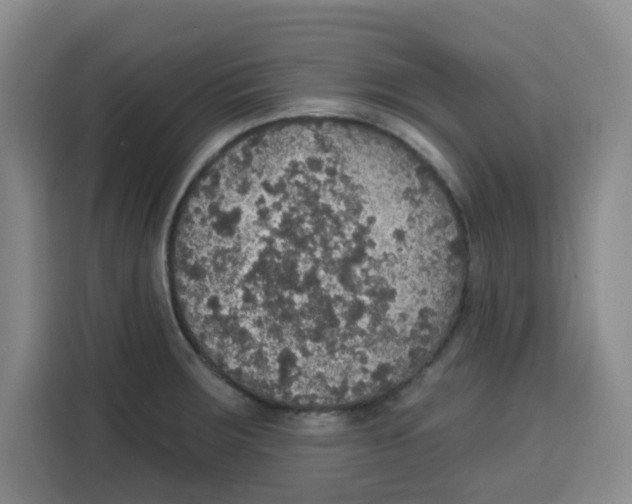 X0000115131283200911241438