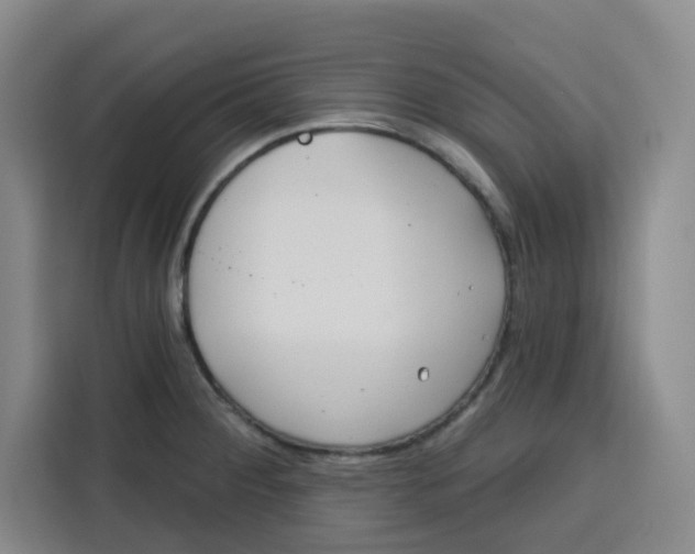 X0000115131284200911241438