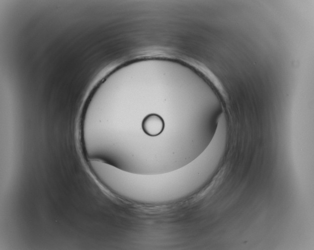 X0000115131285200911241438