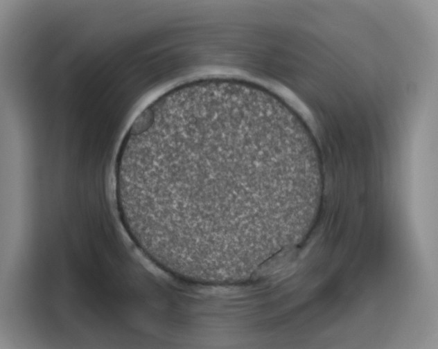 X0000115131287200911241438