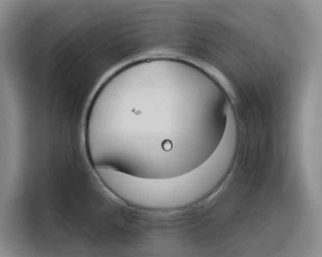 X0000115131288200911241438