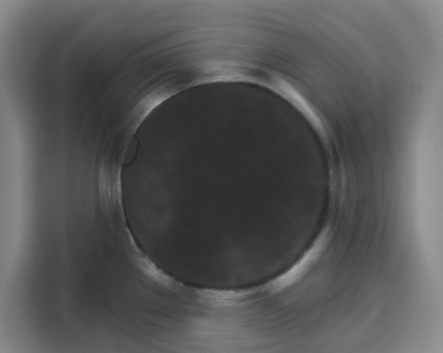 X0000115131289200911241438