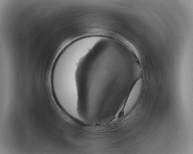 X0000115131291200911241438