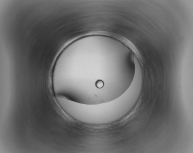 X0000115131292200911241438
