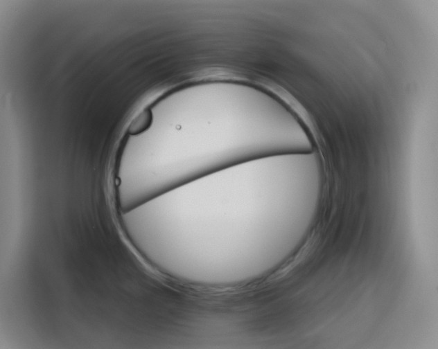 X0000115131293200911241438