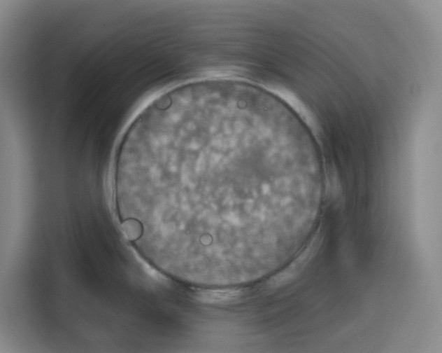 X0000115131294200911241438