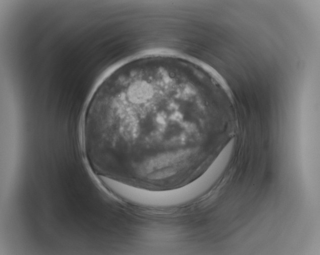 X0000115131295200911241438
