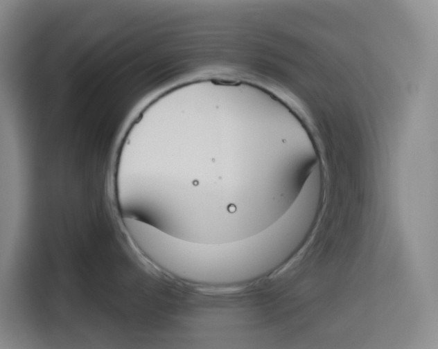 X0000115131296200911241438