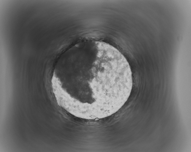 X0000115131297200911241437