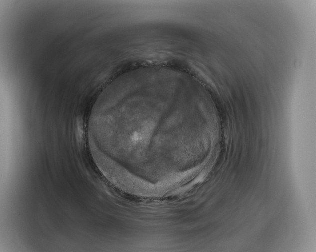 X0000115131298200911241437