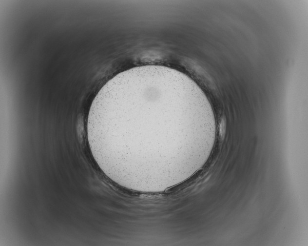 X0000115131299200911241437