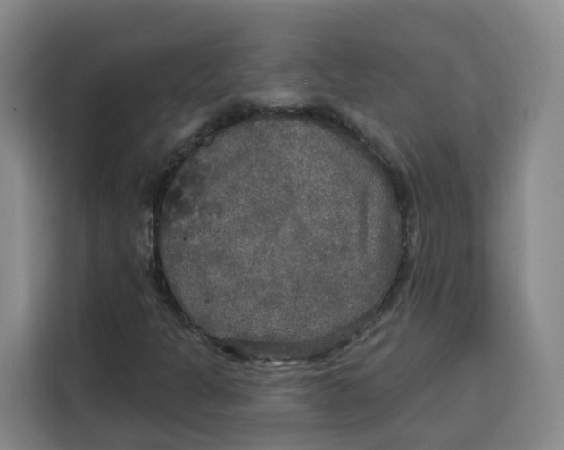 X0000115131301200911241437