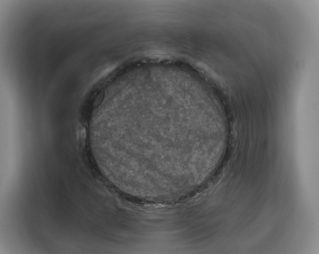 X0000115131302200911241437