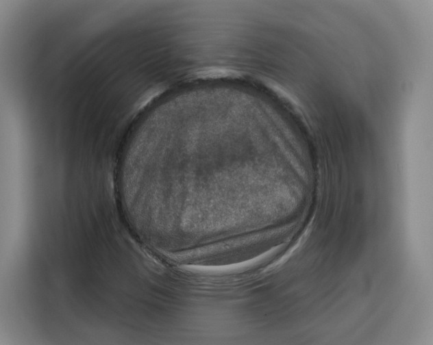 X0000115131305200911241437
