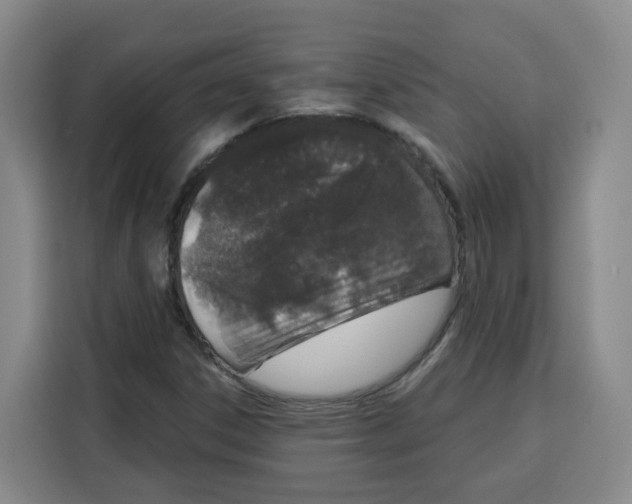X0000115131306200911241438