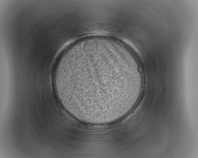 X0000115131307200911241438