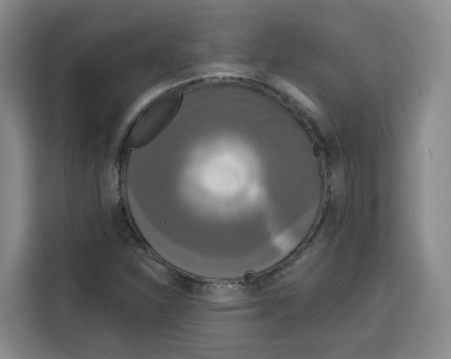 X0000115131310200911241438