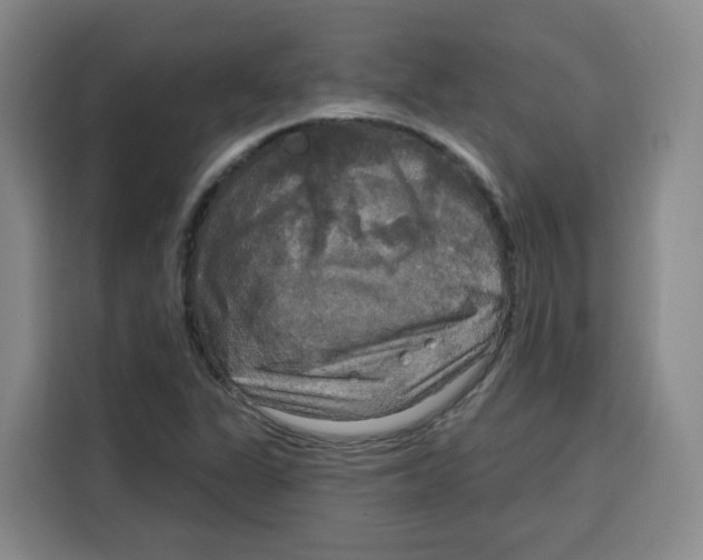 X0000115131311200911241438