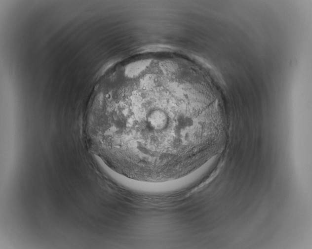 X0000115131313200911241438