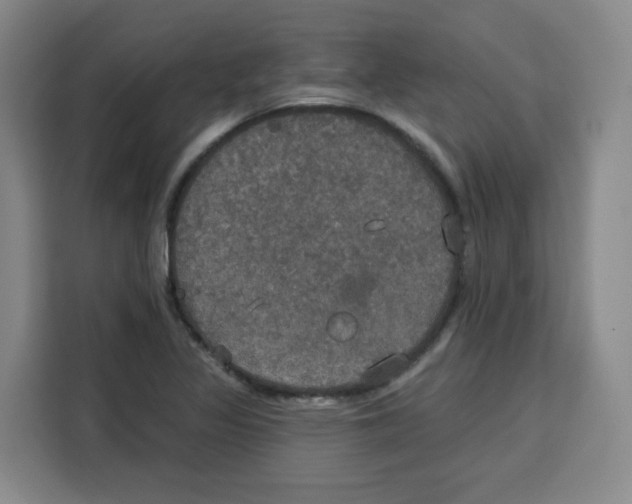X0000115131317200911241438