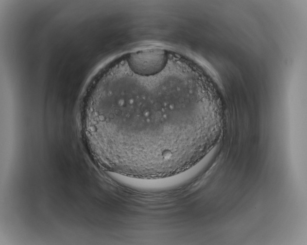 X0000115131318200911241438