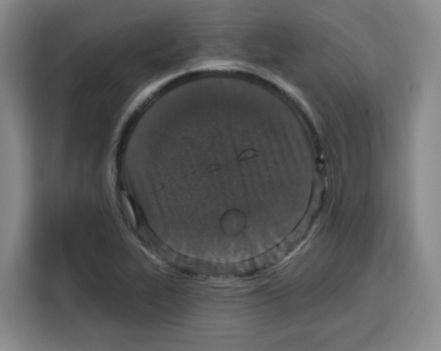 X0000115131319200911241438