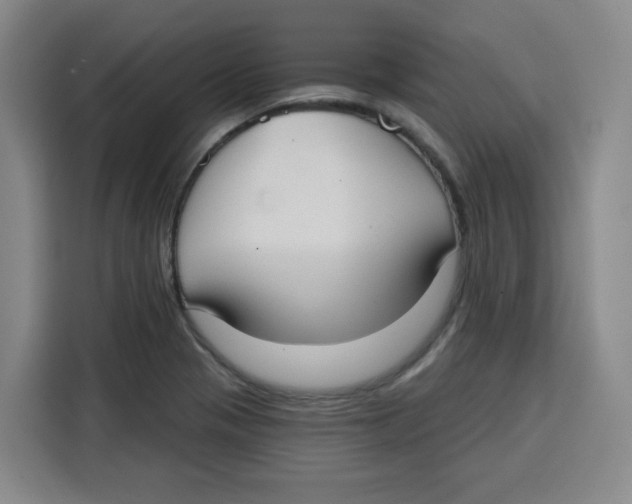 X0000115131321200911241438
