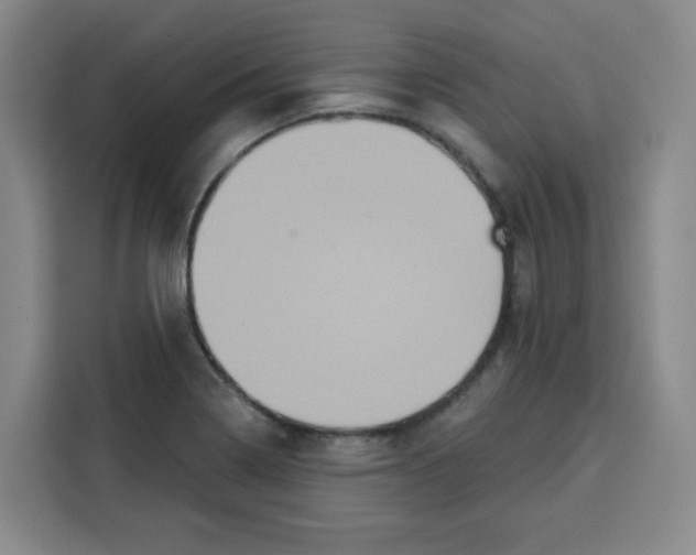 X0000115131322200911241438