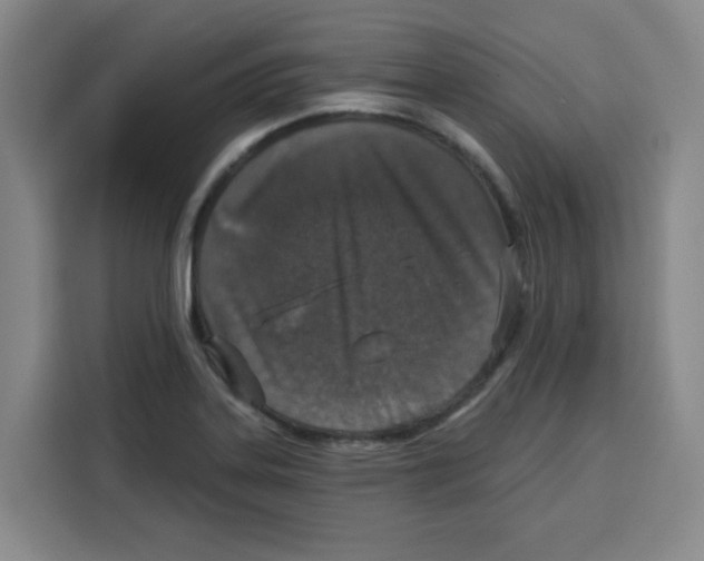 X0000115131323200911241438
