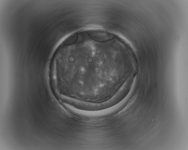 X0000115131325200911241438