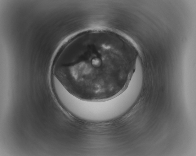 X0000115131327200911241438