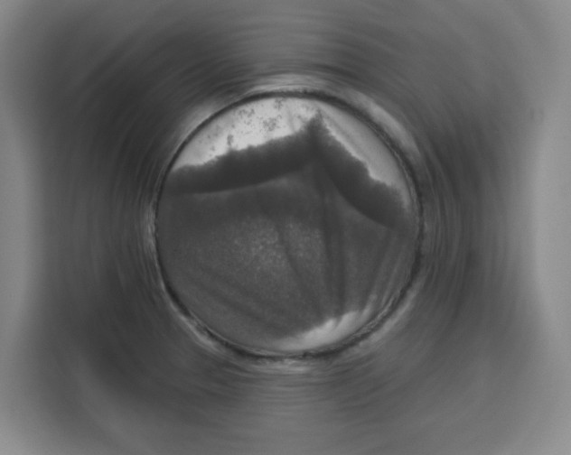X0000115131329200911241438