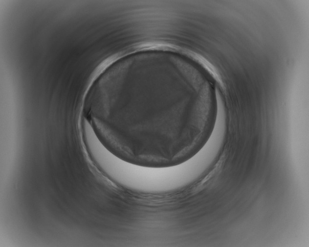 X0000115131330200911241438